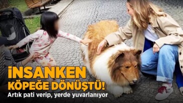 İnsanken köpeğe dönüştü! Artık pati verip, yerde yuvarlanıyor