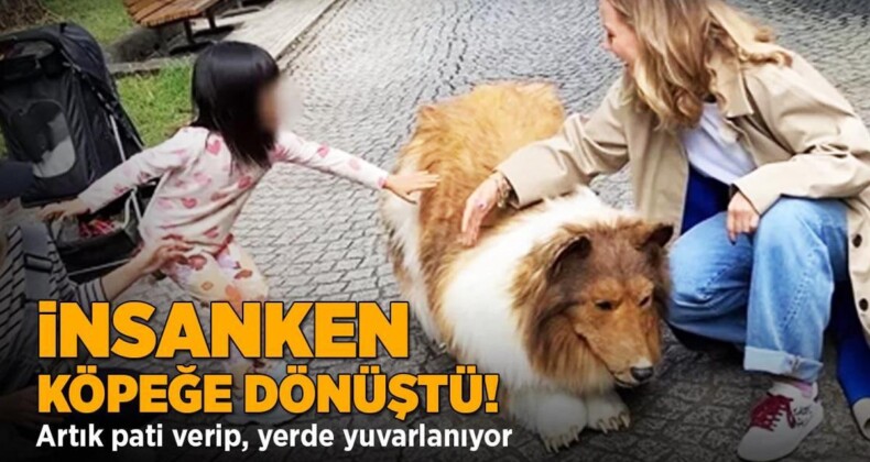 İnsanken köpeğe dönüştü! Artık pati verip, yerde yuvarlanıyor