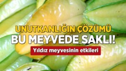 ‘Karambola’ adlı yıldız biçimli meyve unutkanlığa birebir!