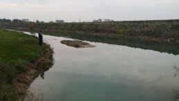 Kırmızı akan Berdan Nehri normale döndü