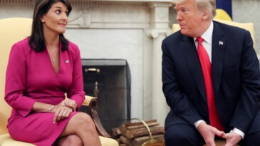 Nikki Haley, Trump’a meydan okudu