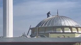 Tokat’ta leyleklere yuva yapmak için kubbeye tırmanan yaşlı adam