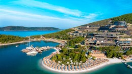 Yanan alana otel, ormanlık alana villa