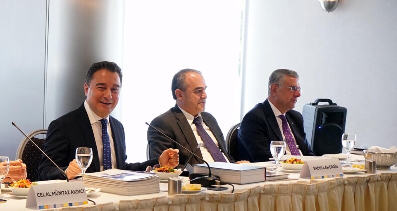 Babacan: İki ilde işbirliğine gireceğiz