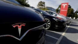 Milyarderin baldızı Tesla içinde feci şekilde can verdi