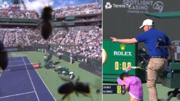 Arı istilası maçı durdurdu: Alcaraz, Zverev karşısında Indian Wells’de zafer kazandı