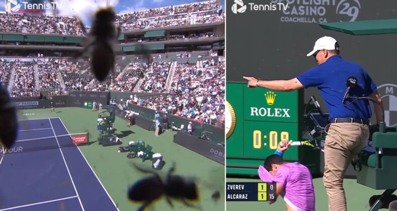 Arı istilası maçı durdurdu: Alcaraz, Zverev karşısında Indian Wells’de zafer kazandı