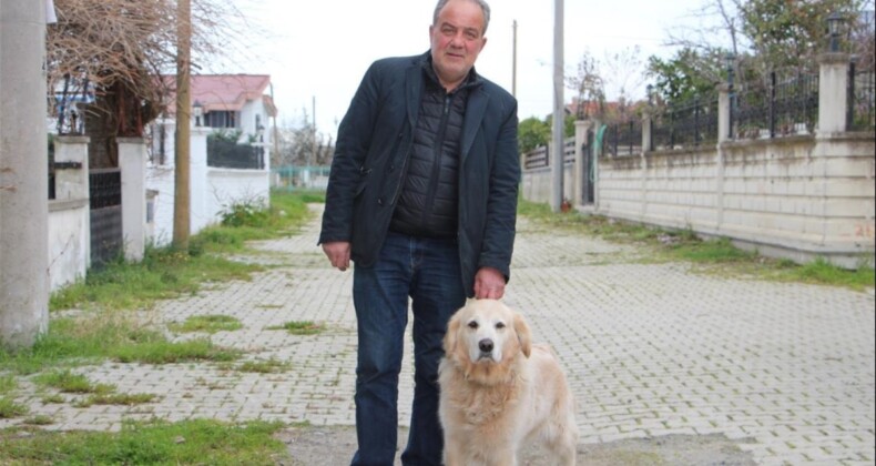 Köpeğin doktora havlaması sahibine pahalıya patladı