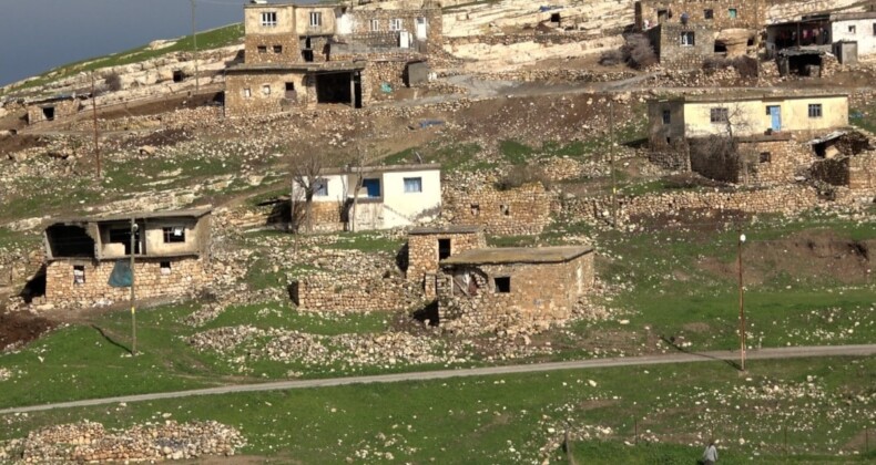 Köy muhtarını, Almanya’daki seçmenler belirleyecek