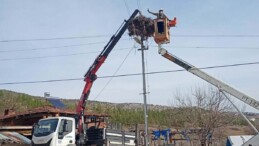 Leylekler için elektrik direklerine yapay yuvalar yerleştirildi