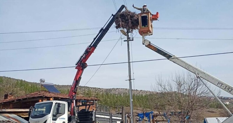 Leylekler için elektrik direklerine yapay yuvalar yerleştirildi