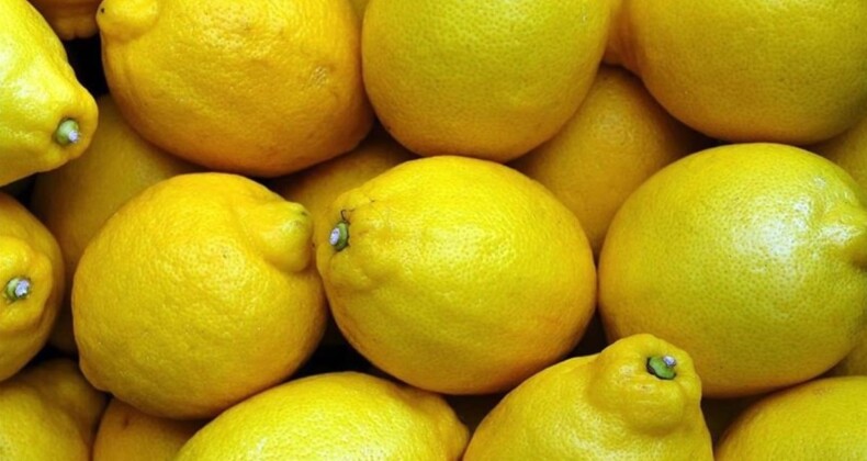 Üretici ve market arasındaki en yüksek fiyat farkı yüzde 378’le limonda