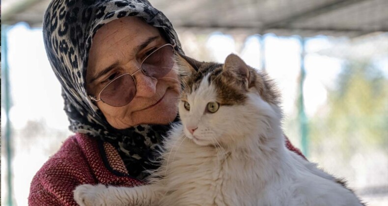 Müstakil evinin bir katını sokak kedilerine yuva yaptı