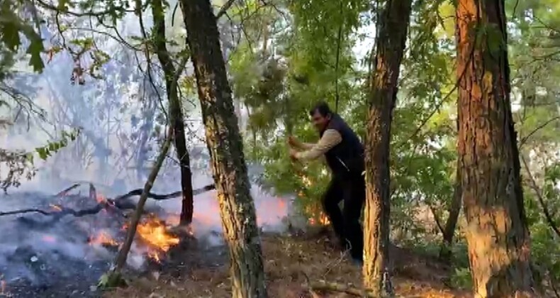 Kahramanmaraş’ta orman yangını: 3 gündür söndürülemedi