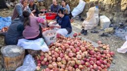 Adana Feke’de Nar Ekşisi Üretimi Başladı