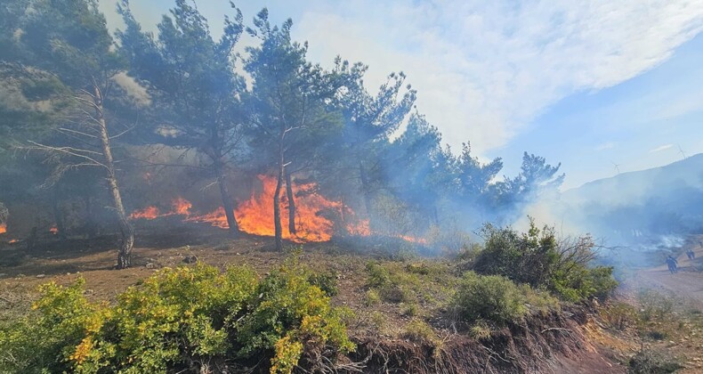 Hatay’daki orman yangını: 95 hektar alan küle döndü