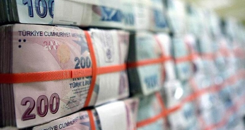 Hazine 25 milyar lira borçlandı