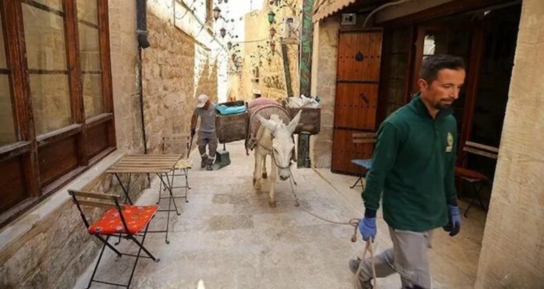 Mardin’de Çöp Taşıyan Eşekler Emekliye Ayrılıyor