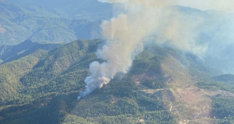 Muğla’da orman yangını: Müdahale sürüyor…