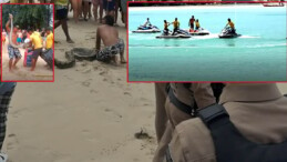 Turistler panik içinde sudan kaçtı: Denizdeki dev piton korku dolu anlar yaşattı!